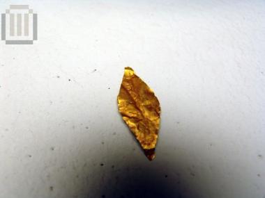 Golden inscribed leaf
