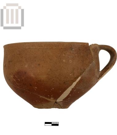 Cup