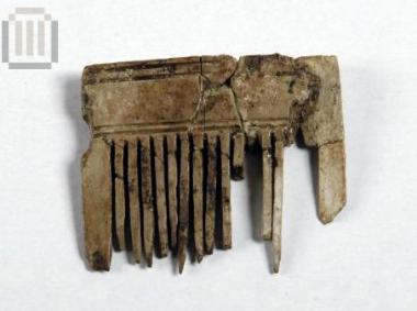 Ivory comb