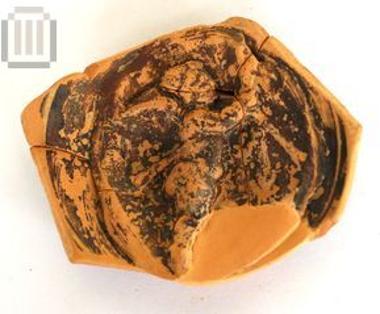 Phiale bottom emblem