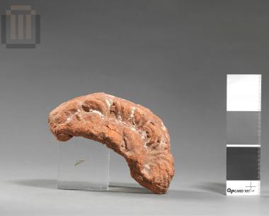 Part of a clay lion-head shaped spout