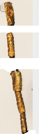Beads (10)