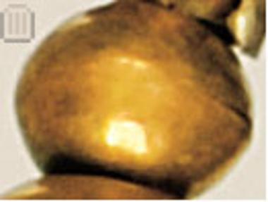 Gold bead