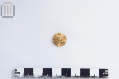 Gold disk