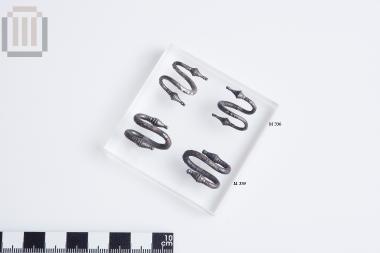 Ζεύγος σφηκωτήρων