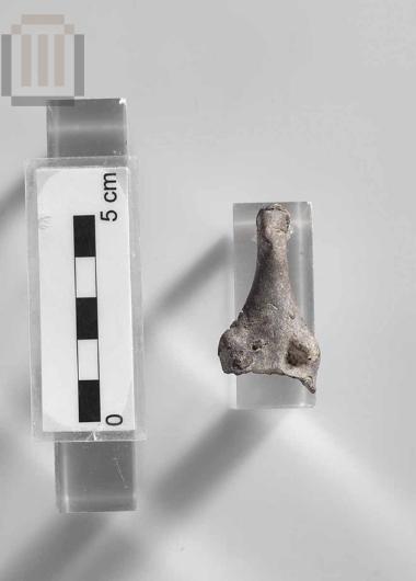 Τμήμα πήλινου ανθρωπόμορφου ειδωλίου