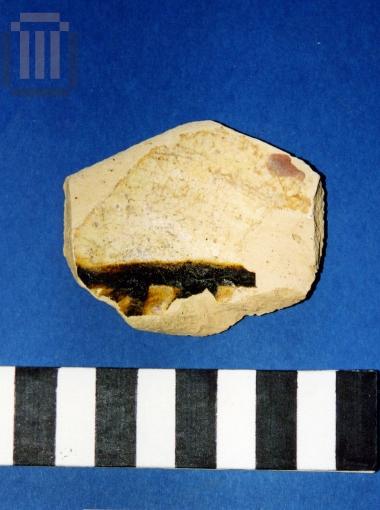 Tray fragment