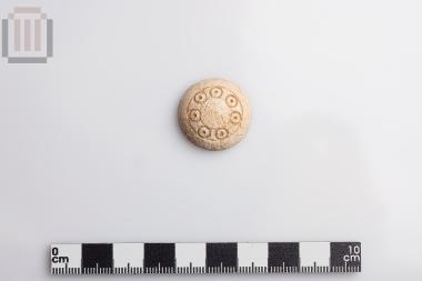 Bone disk