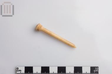 Bone fibula