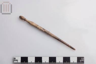 Bone fibula