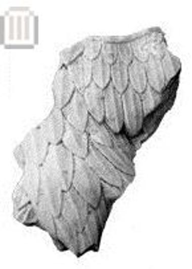 Τμήμα οικοσήμου σε μορφή αετού