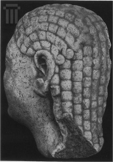 Part of the head of an Archaic kouros