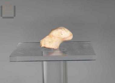 Τμήμα μαρμάρινης φιάλης με ζωόμορφη λαβή