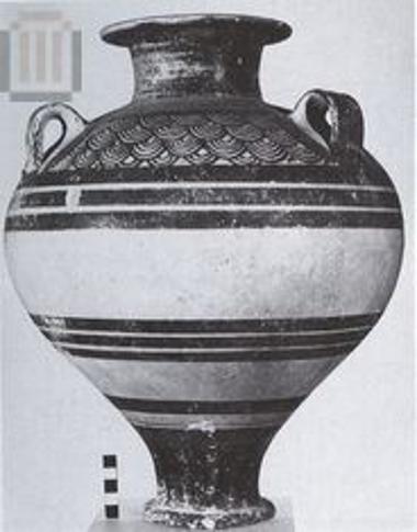 Πιθαμφορέας τρίωτος