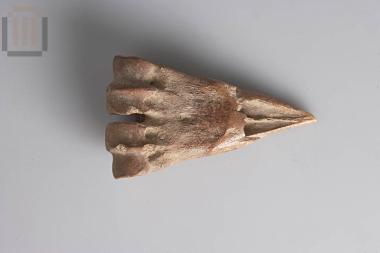 Οστέινος οπέας