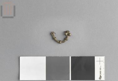 Fibula