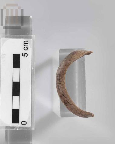 Τμήμα μεσαίου μεγέθους οστρέινου ψελίου