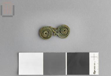Spectacle fibula