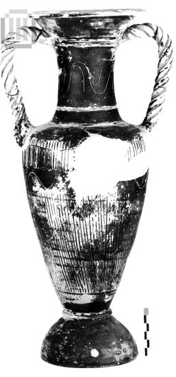 Amphora