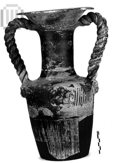 Amphora