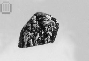 Fragment of an amphora’s relief emblem