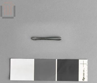 Forceps