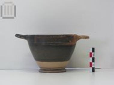 Κοτύλη