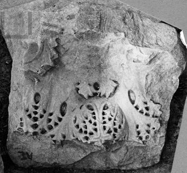 Κιονόκρανο
