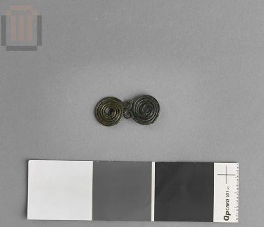 Fibula