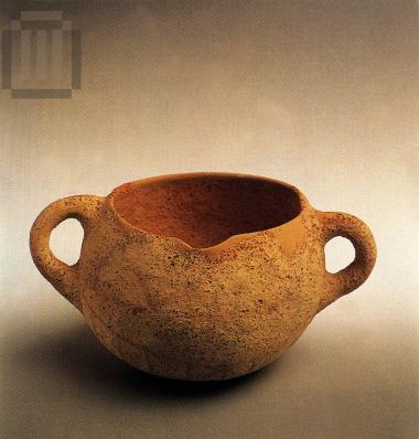 Spouted cup