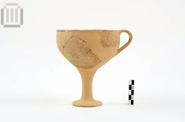 Cup