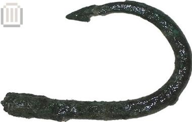 Fishhook