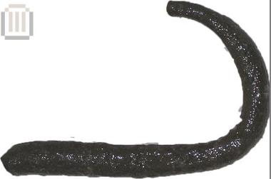 Fishhook