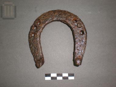 Πέταλο ίππου