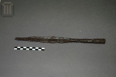 Σαυρωτήρας δόρατος