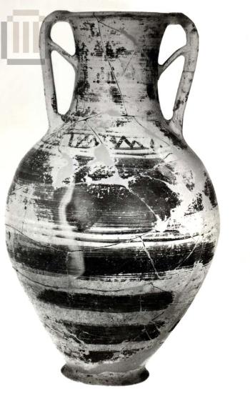 Amphora