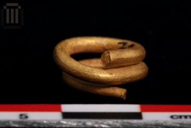 Golden spiral hair ring