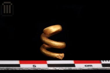 Χρυσός σφηκωτήρας