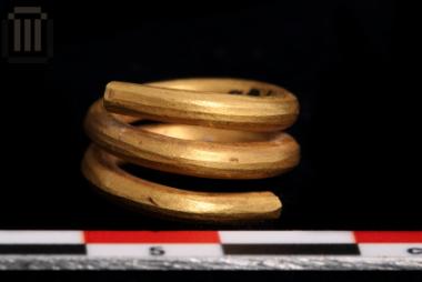 Χρυσός σφηκωτήρας