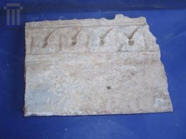 Τμήμα θωρακίου