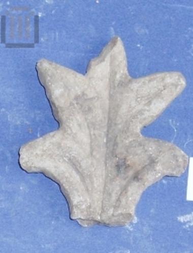 Fragment of column transverse