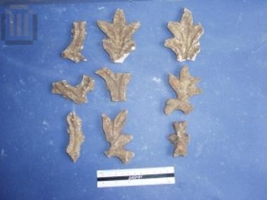 Fragments of three Transverses of a closure slab