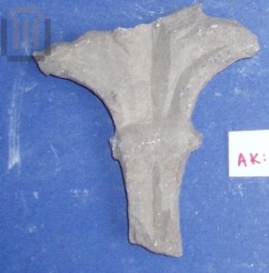 Fragment of column transverse