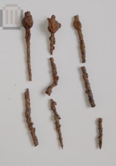 Τμήματα από τουλάχιστον τρεις περόνες