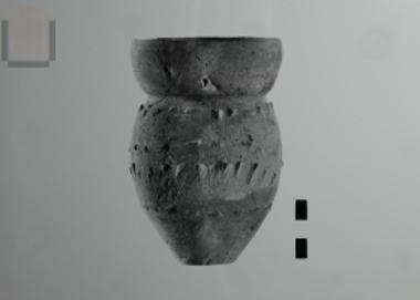 Άωτο κύπελλο