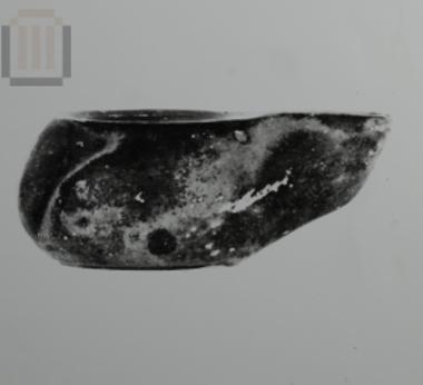 Μονόμυξος λύχνος