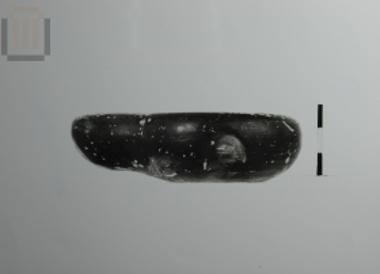 Μελαμβαφής λύχνος