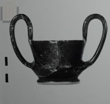 Μικύλλος μελαμβαφής κάνθαρος