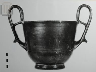 Μελαμβαφής κάνθαρος