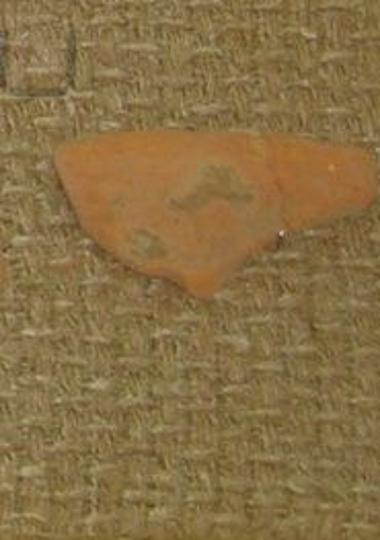 Vase fragment